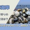 富津海岸の潮干狩りの混雑状況は？駐車場の空き状況と行く時間は？