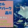 マクセルアクアパーク品川の混雑状況は？いつ行くのがおすすめ？