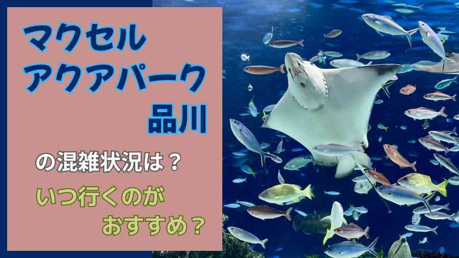 マクセルアクアパーク品川の混雑状況は?いつ行くのがおすすめ?