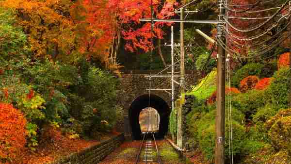 高尾山紅葉の混雑状況は?