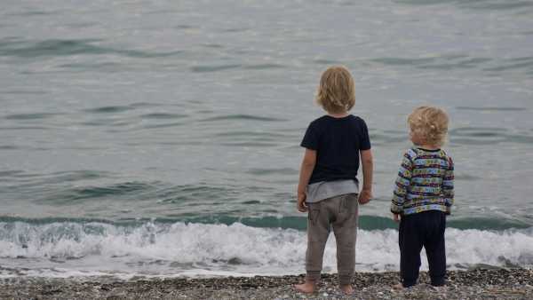 藤田文武と嫁に子供はいる?