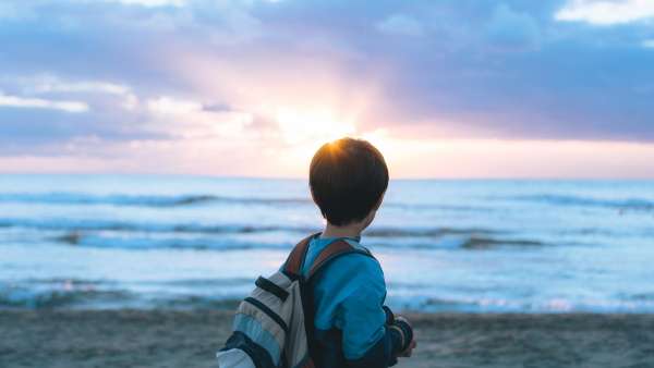 吉村洋文に子供は何人いて現在は何してる？ 