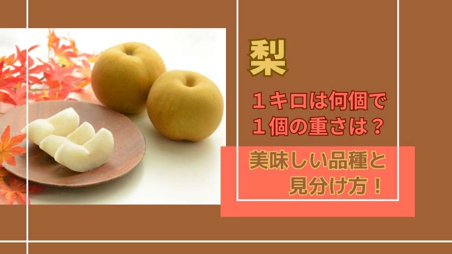 梨1キロは何個で1個の重さは?美味しい品種と見分け方!