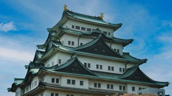 フィフィは名古屋弁なまり?