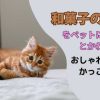 和菓子の名前をペットにつけるとかわいい？おしゃれ・かっこいい物は？