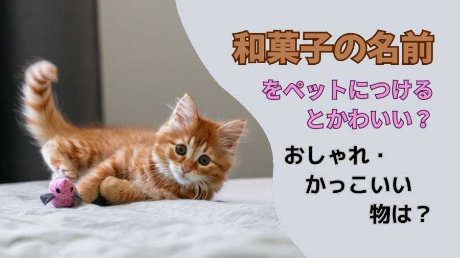 和菓子の名前をペットにつけるとかわいい？おしゃれ・かっこいい物は？