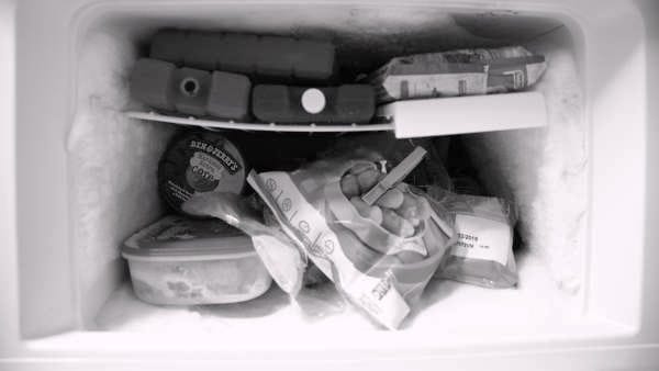 ハルーミチーズは冷凍だと保存期間はどれくらい？