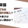 高市早苗の子どもは養子が何人？年齢や実子がいない理由は？
