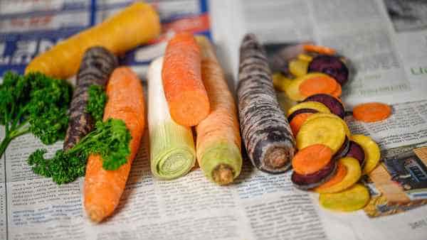 チコリと菊芋の保存方法の違い 