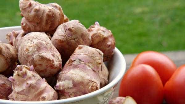 チコリと菊芋の味の違い