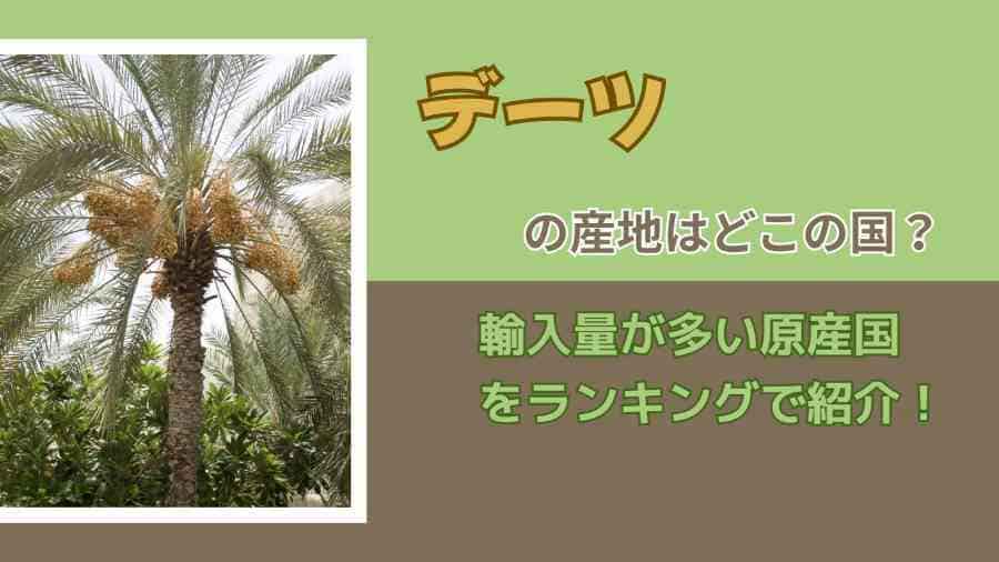 デーツの産地はどこの国？輸入量が多い原産国をランキングで紹介！