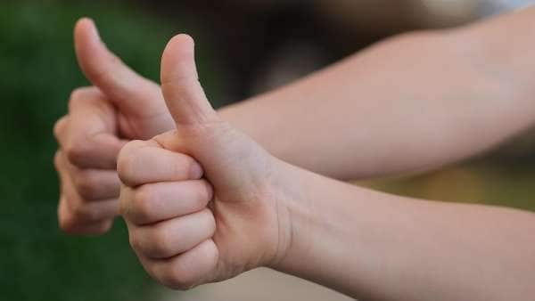 サゴやサゴ粉をお得に買う方法 