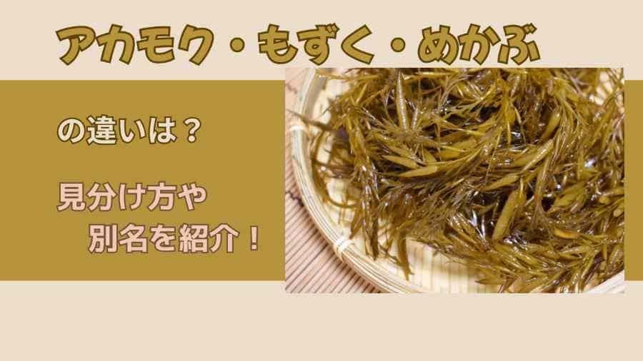 アカモク・もずく・めかぶの違いは？見分け方や別名を紹介！