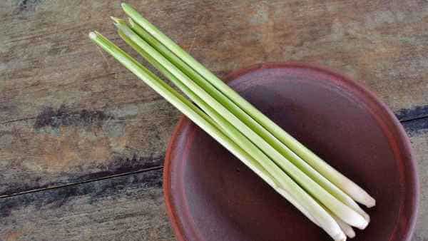 レモングラスのお風呂での使い方は？ 