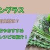 レモングラスの代用食材は？使い方やおすすめレシピを紹介！